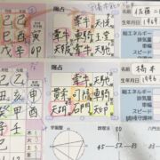 佐藤二郎・橋本愛鑑定「宿命と相性」の真実
